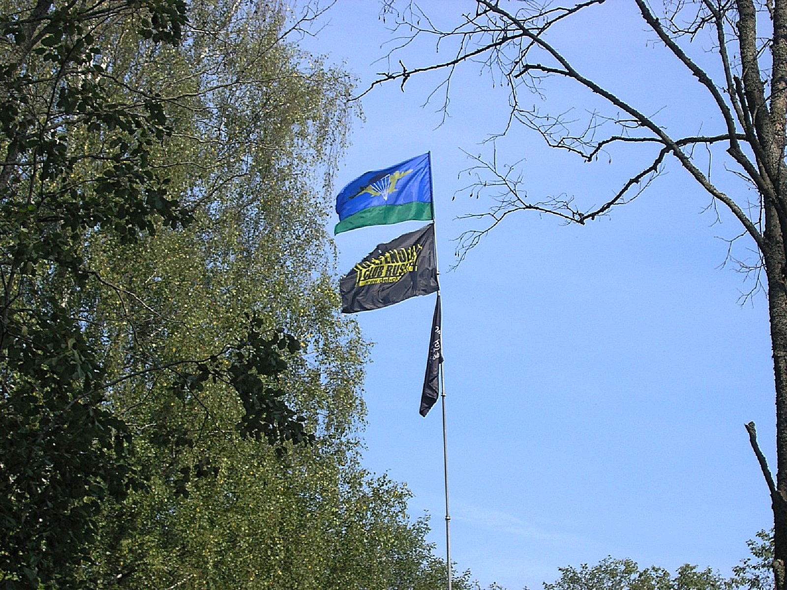 05.jpg
